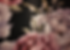 LUXE_Pearl-Room-wallpaper.png