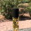 Thumbnail: Navajo Tea Chamomile Lavender Botanical Infused Roller