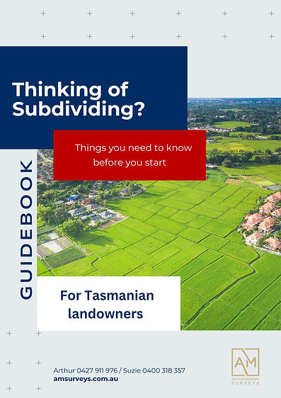 Thinking of Subdiving Cover V14.pdf.jpg