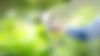 iStock-1147976285.jpg