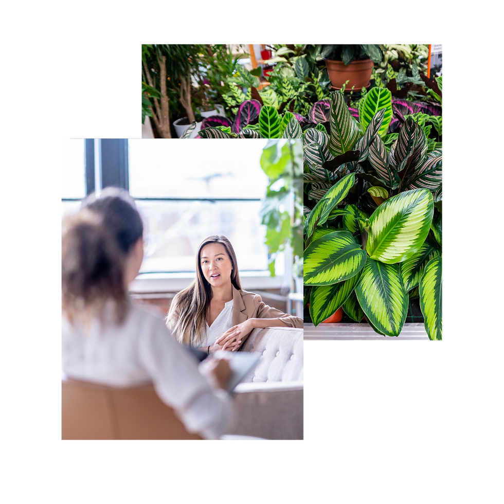 Therapy Session in San Antonio Texas.