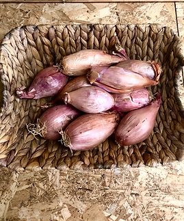 Capture d’écran 2022-08-10 à 11.43.07.png