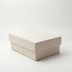 boxes available for extra fee