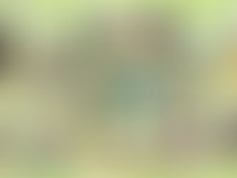 おにぎりパーティーをしました！