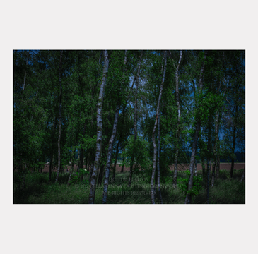 
Ella-Jenna Oosterglorenwoud | lichtbeeltenis

Het Fluisteren van de Blauwe Tijd, 2025
The Whispers of the Blue Time, 2025

幽藍時間的低語, 2025

青き時の囁き, 2025

Mixed Media Painting

Hahnemühle FineArt Print  | Giclée

60 x 40 cm