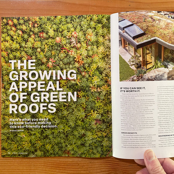 Green roof project in spruce magazine