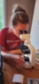 A woman looks through a compound microscope at her kitchen table, adjusting the focus knob, examining a goat fecal sample slide for parasite eggs.
