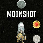 Moonshot.jpeg