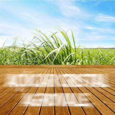 Agrovale---Açúcar-Cristal---Banner-Anima