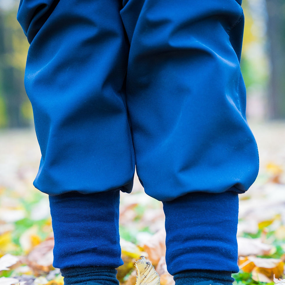 Thumbnail: Softshell trousers with fleece, dark blue
