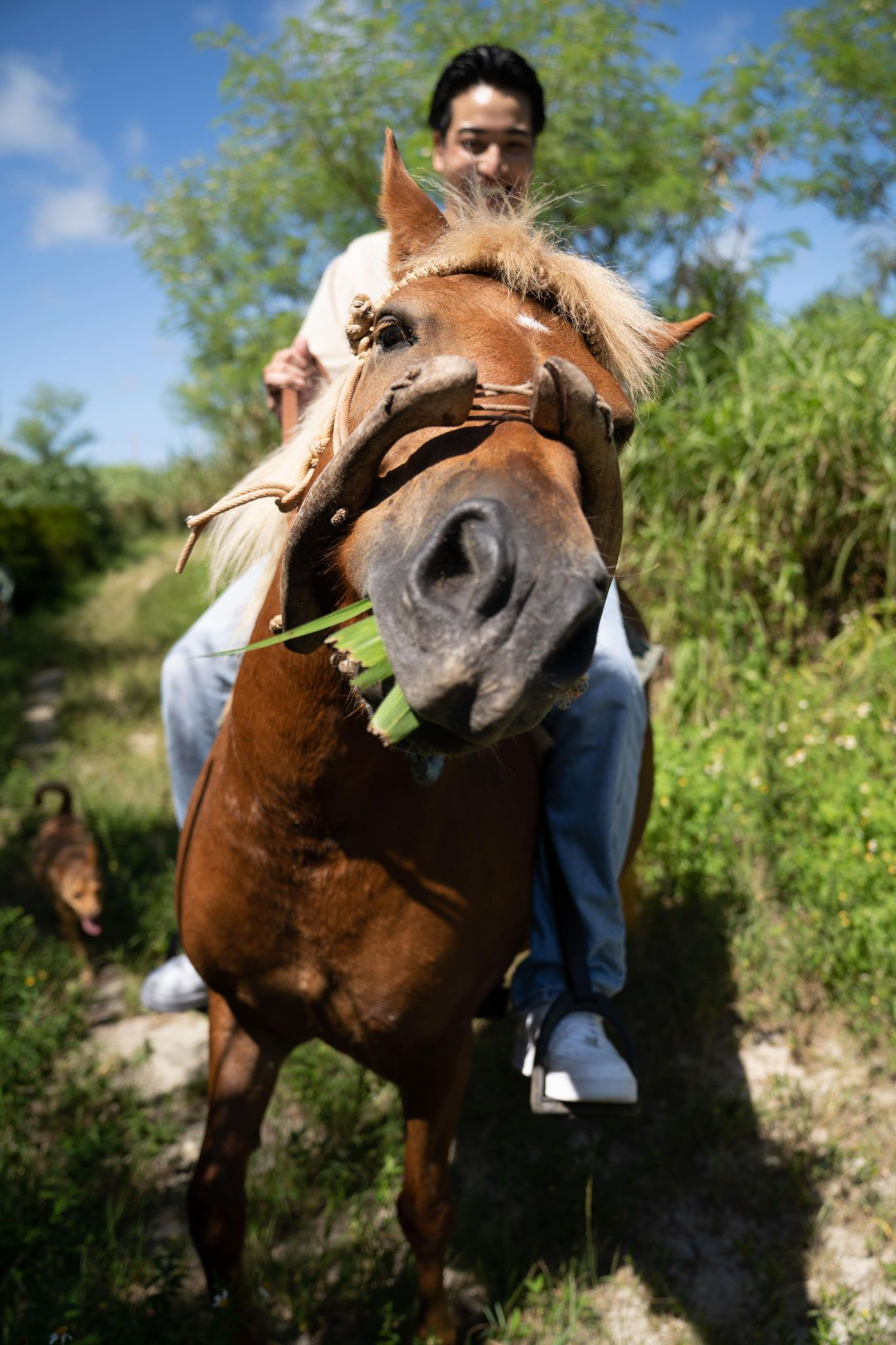 ロケーションフォト撮影