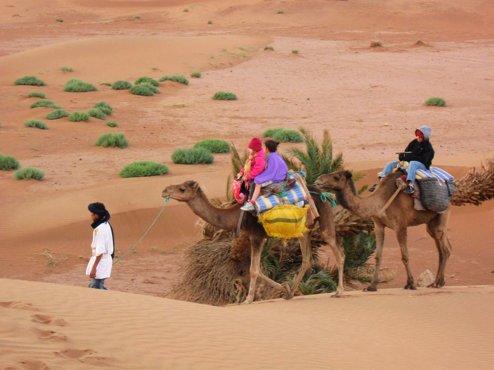 Familly camel ridding