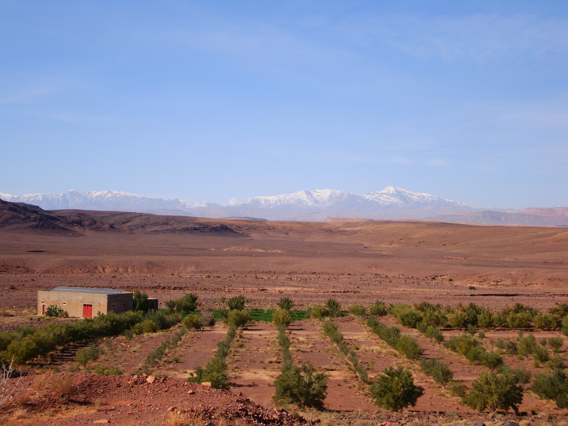 semi desert environment field
