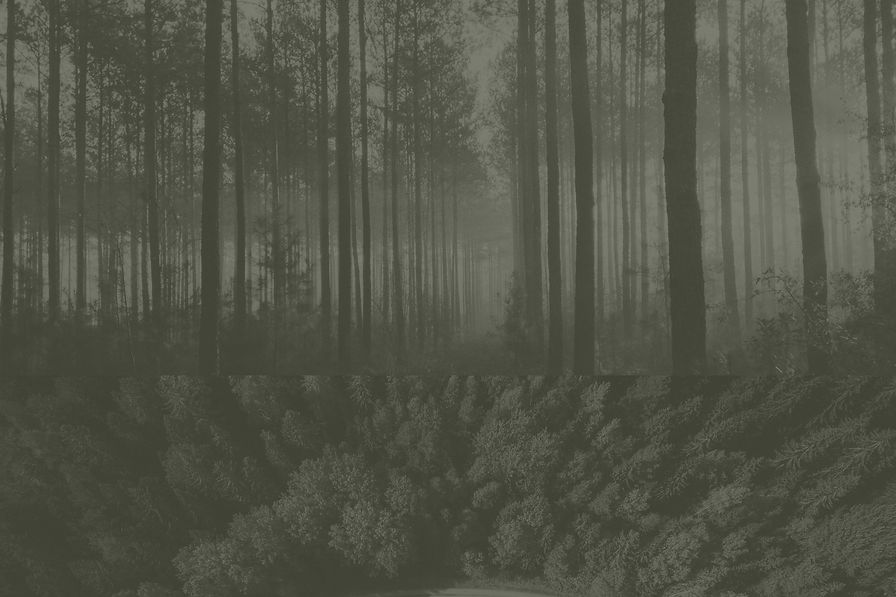 Header---1.jpg