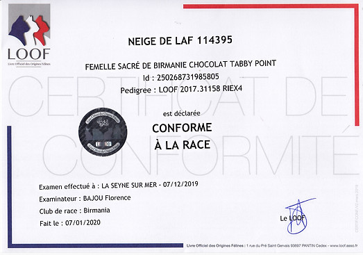 Conformit%C3%A9%20Leia%20(Neige)_0001_ed