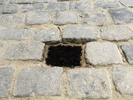 90743358_507161623306495_249122956453399