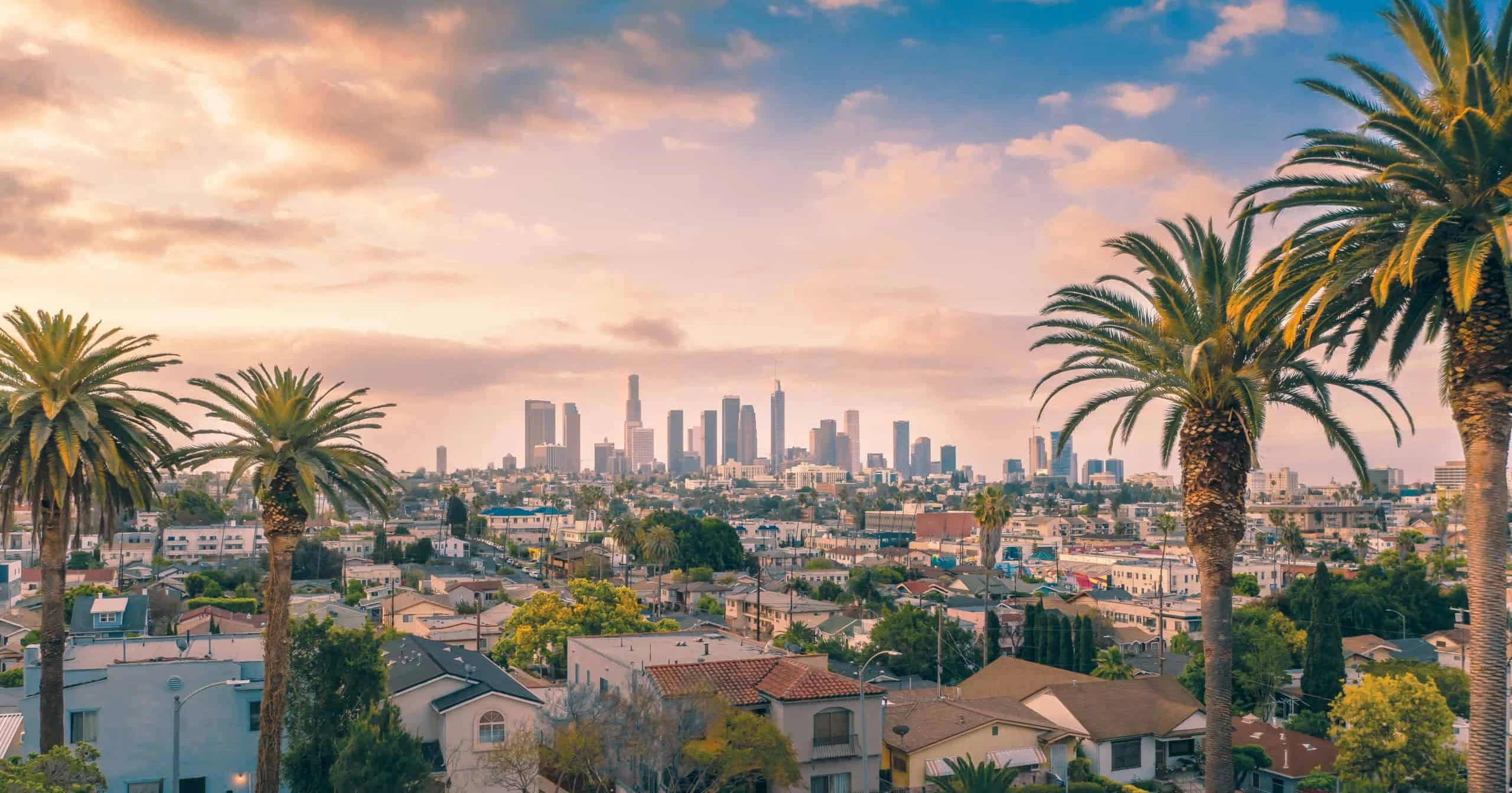 Image: A panoramic view of the sprawling urban landscape of Los Angeles, highlighting the extensive service area covered by Termike Pest Control. This image showcases the company's presence and reach in providing pest control services across the vast metropolitan area of Los Angeles.