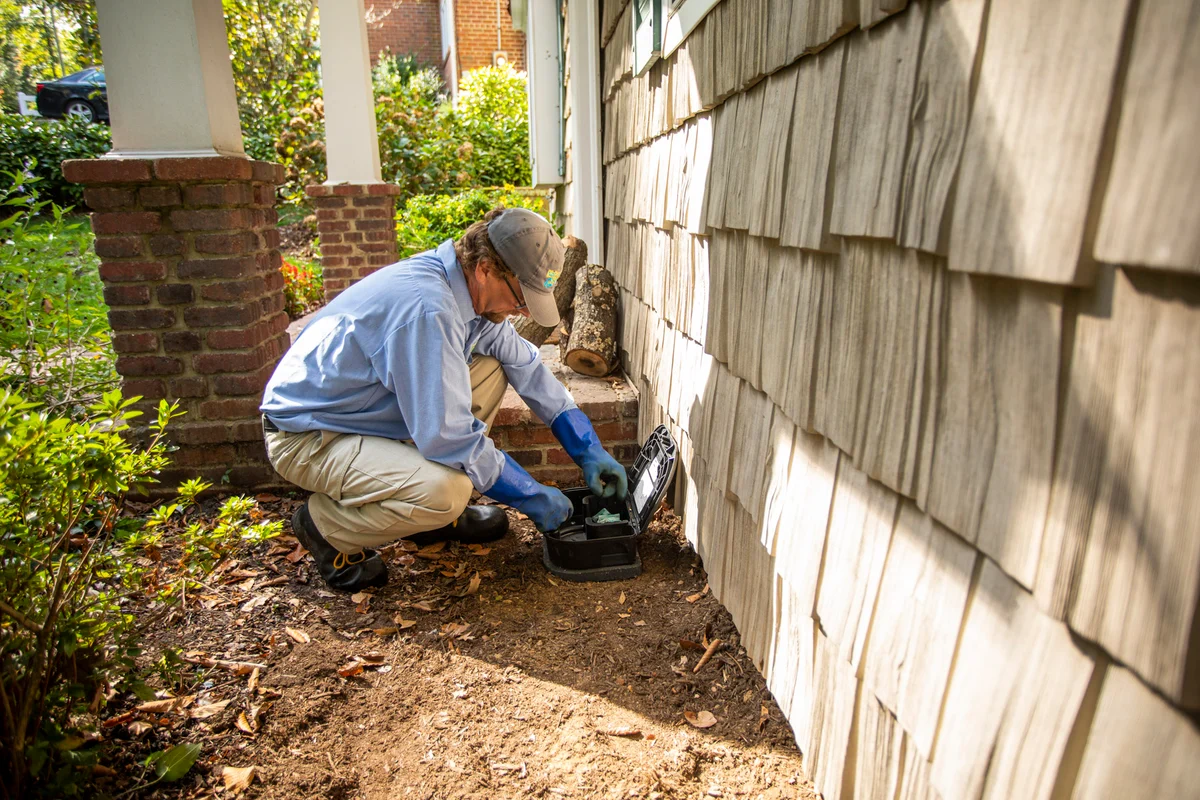 Rodent prevention technician setting up protective measures.