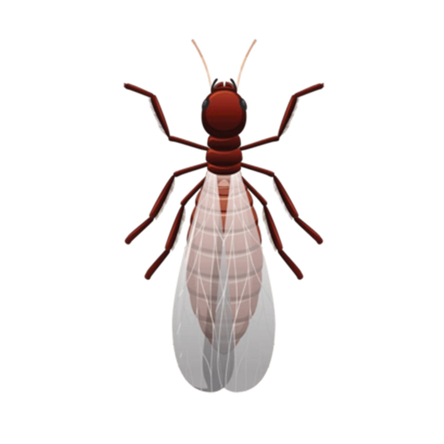 Icon representing various pests, showcasing Termike's comprehensive pest management.