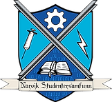 Logo Skjold NSS.png