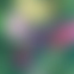 김남주 개인전 - LIKE HONEYBEES 