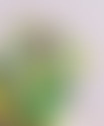 송미주 - 가을 산책