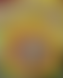 권재욱, 조외경, 박인숙- 사막의 아라비안 2