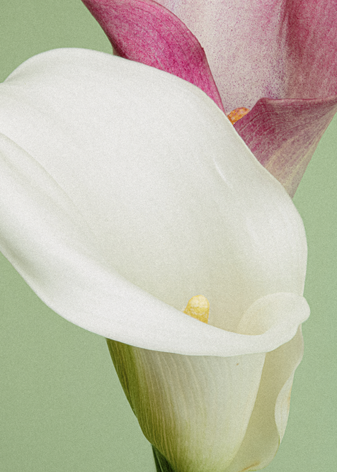 유혜경 개인전- 봄. 찾아