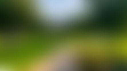 Pastoral Hotel - Picturesque Luxury