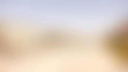 Galilion Hotel - Neighbor of Bird Paradise