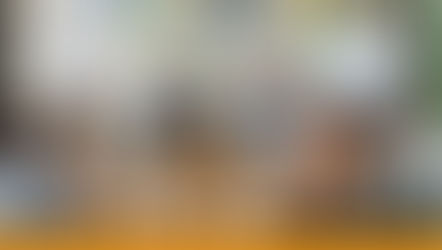 Practical Progressives: more policy deliberations from a humanist think tank