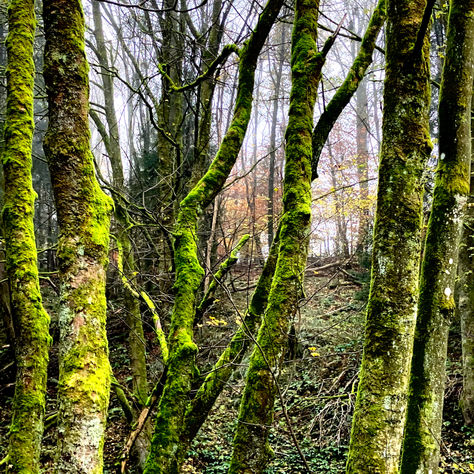 Du kreierst deine Realität – die Kunst, dein Leben bewusst zu gestalten