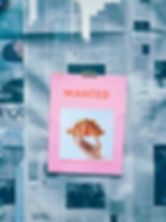 Wanted Notice