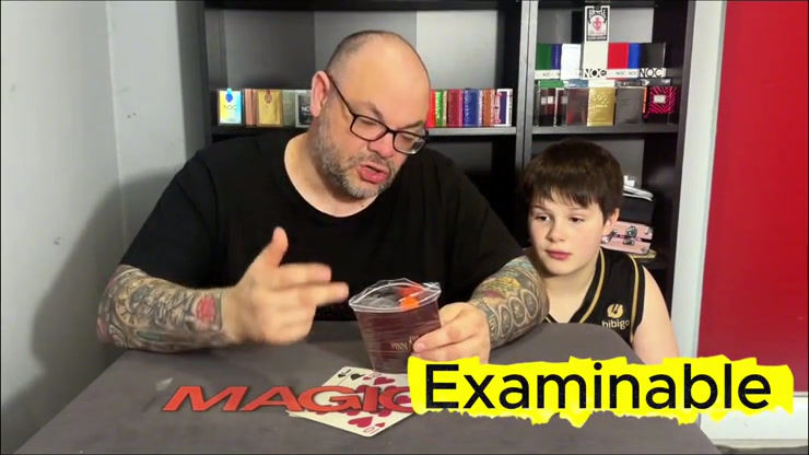 Thumbnail: PINNACLE by Joel Dickinson