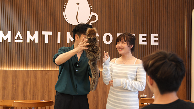 Thumbnail: Tricky Raccoon by Liang Kuai & Amor Magic