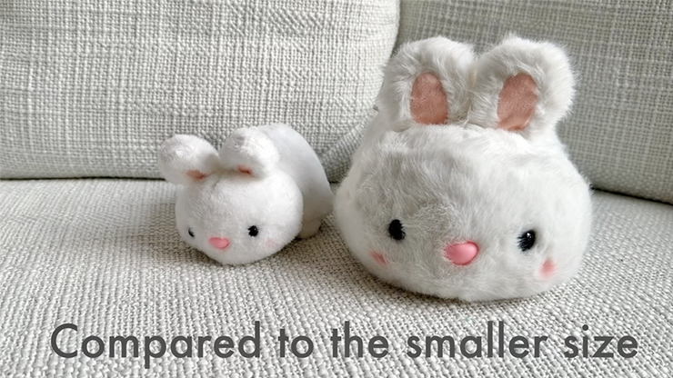 Thumbnail: Morphing Plush by Jackie Zhao and JT Magic
