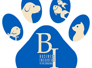 bic_pet_logo.png