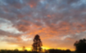 Branford Christian Services