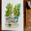 Thumbnail: beautiful watercolour of Place Dauphine. Paris