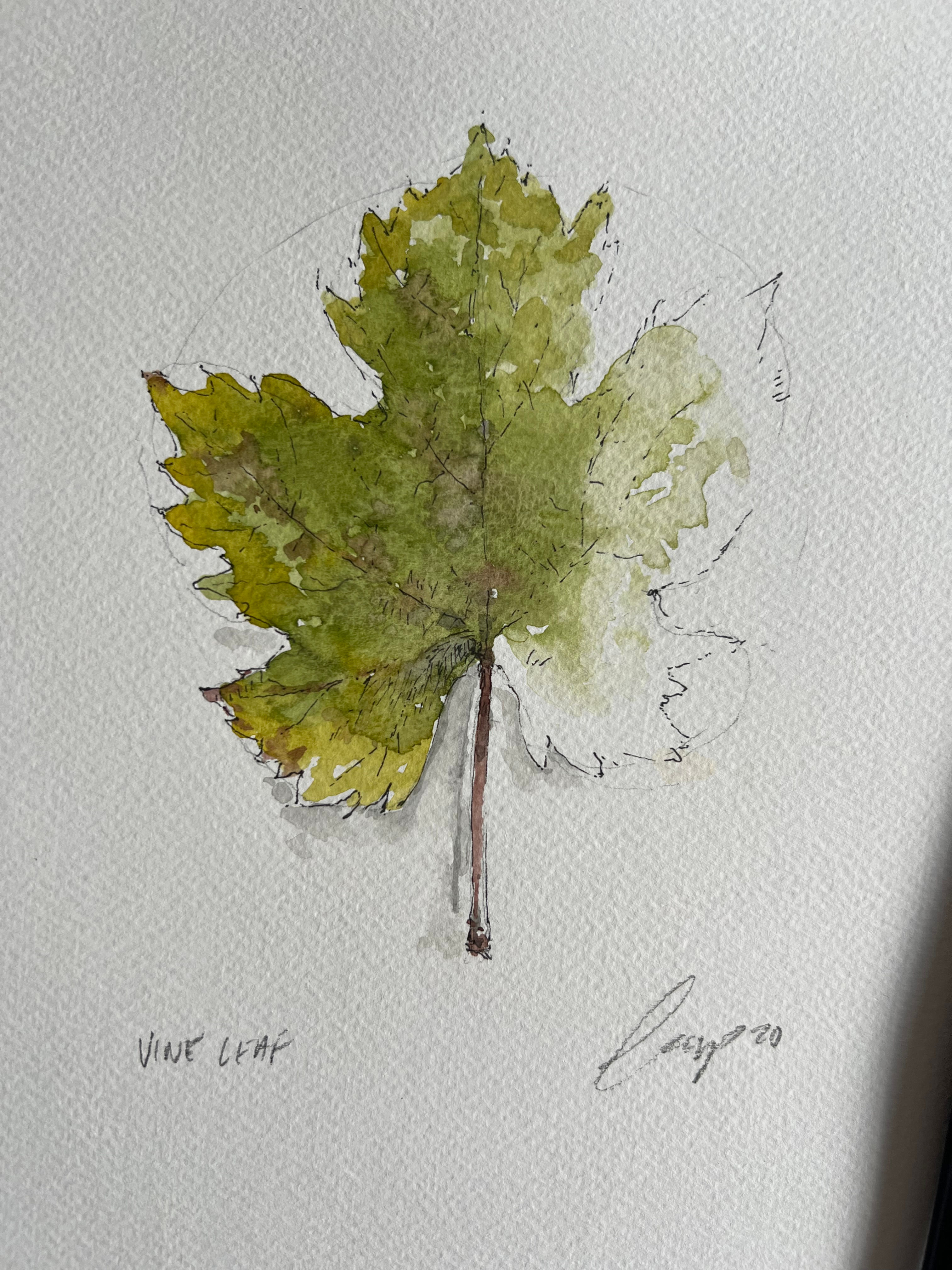 Architectural illustration: Summer leaf