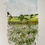Thumbnail: Meadow.