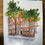 Thumbnail: No.11 Cadogan Gardens Hotel. London