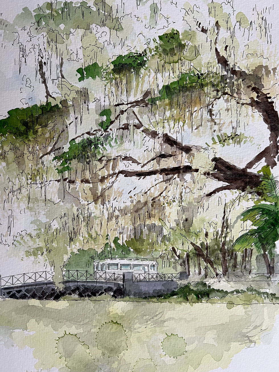 Thumbnail: Watercolor painting of Spanish moss over water in Texas
