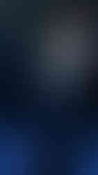 Pitbull Tribute Live in Miami Florida