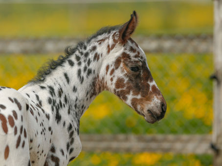 punktgenau gelandet....