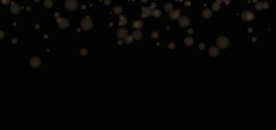 Giphy - Autos Winner.gif