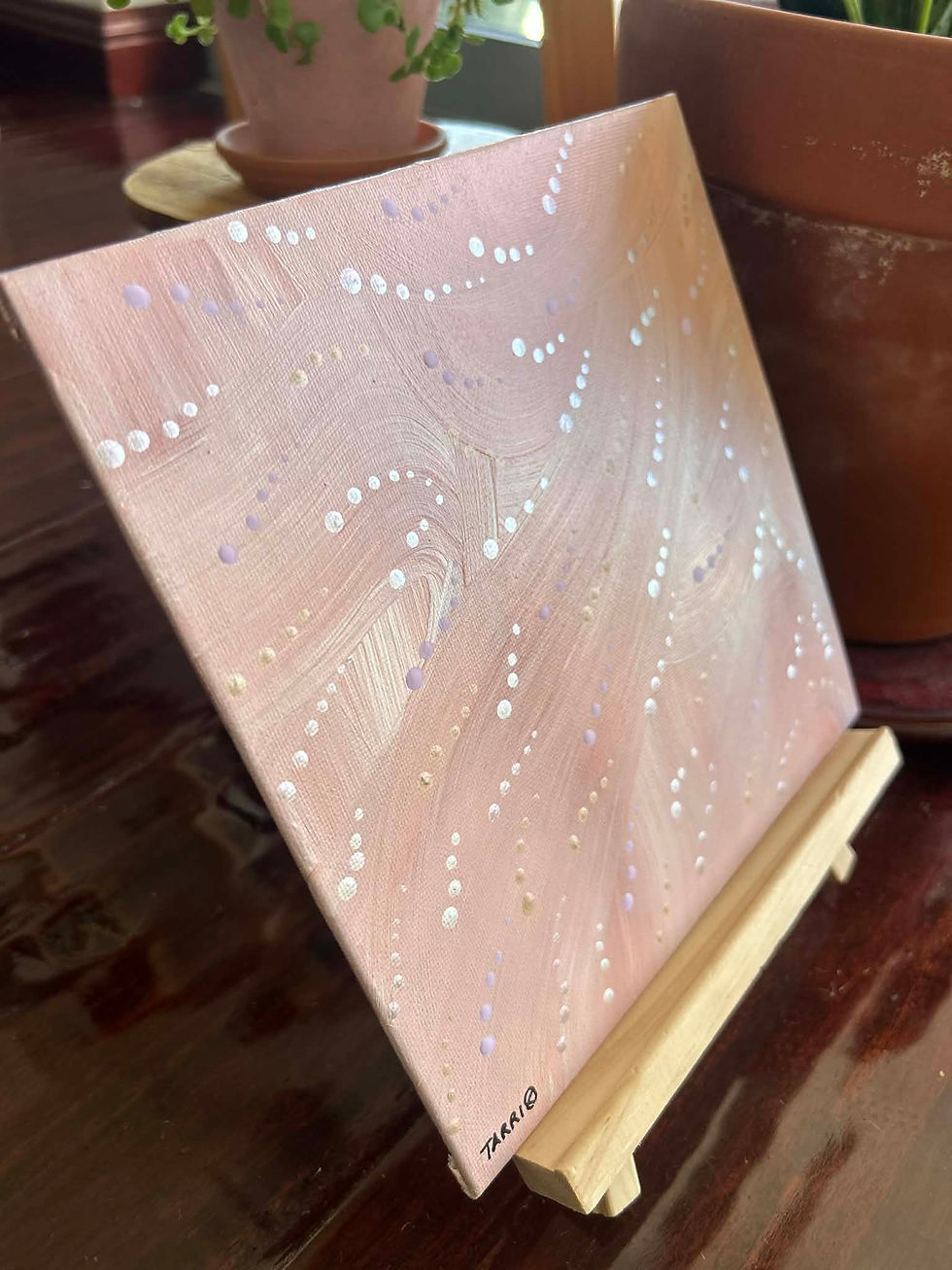 Thumbnail: Arcanus stories within the paperbark tree