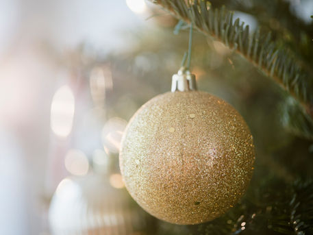 Frohe Weihnachten und guten Rutsch! Ab dem 23.12 machen wir Ferien und sind ab dem 02.01.25 wieder da.   