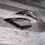Miniature : Sterling Silver Chunky Triangular Curved Earring