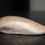 Thumbnail: Pink Clam Shell Catch-All